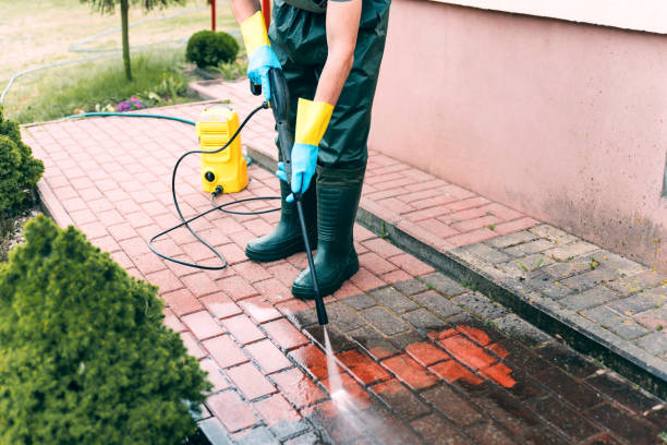 Best Animal Enclosure Cleaning  in Westway, TX